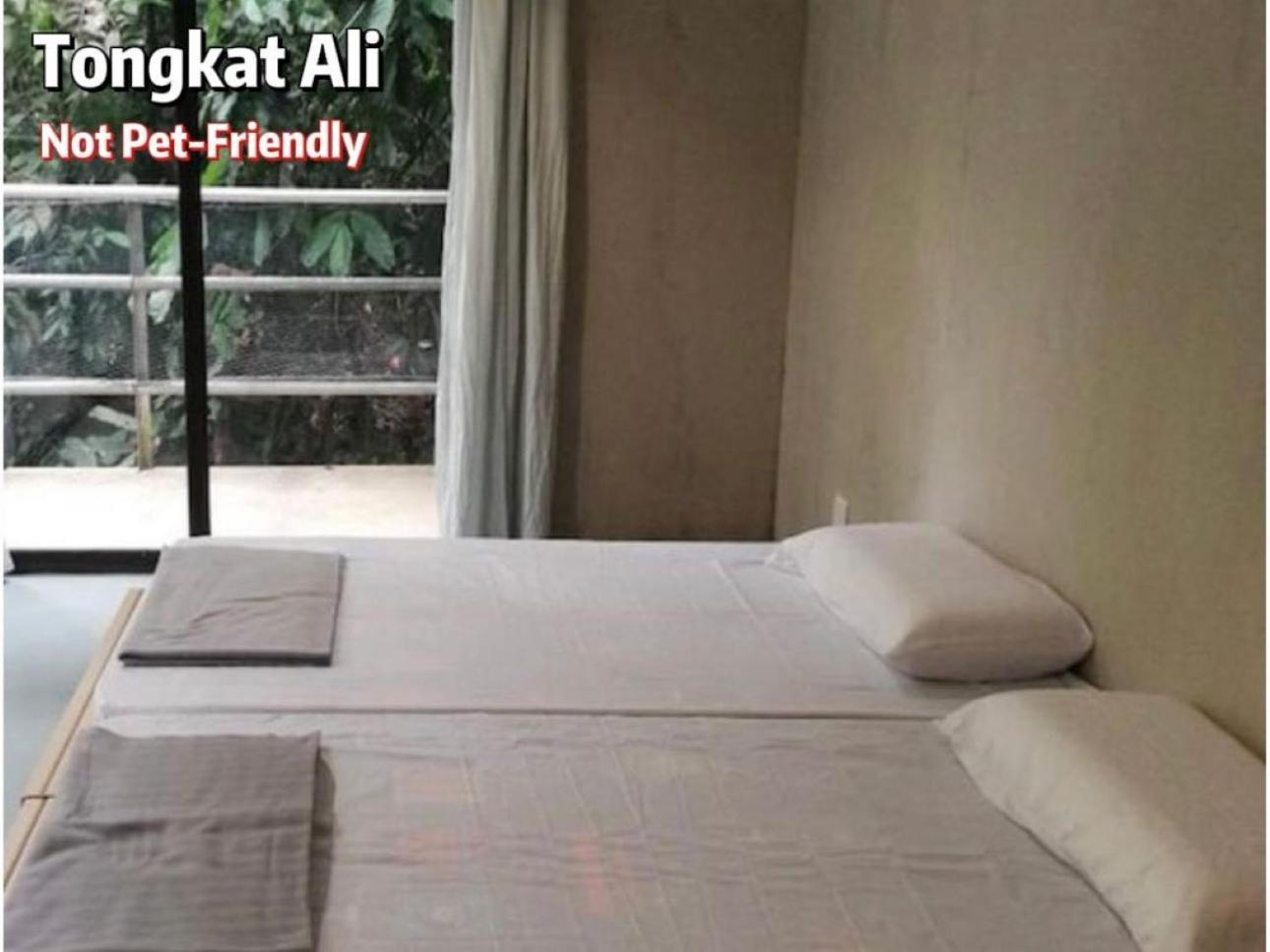 Gibbon Retreat Bentong酒店 外观 照片