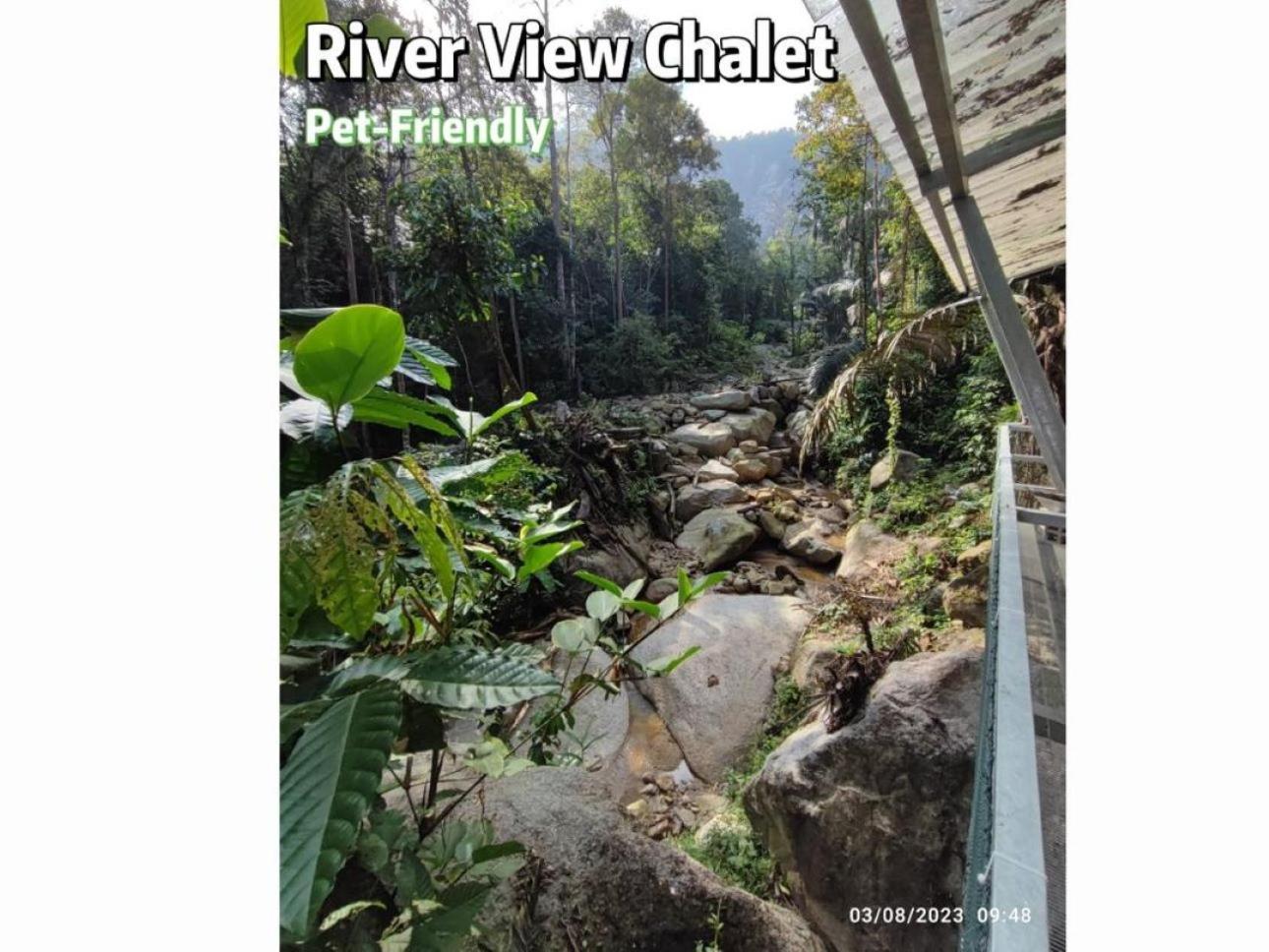 Gibbon Retreat Bentong酒店 外观 照片