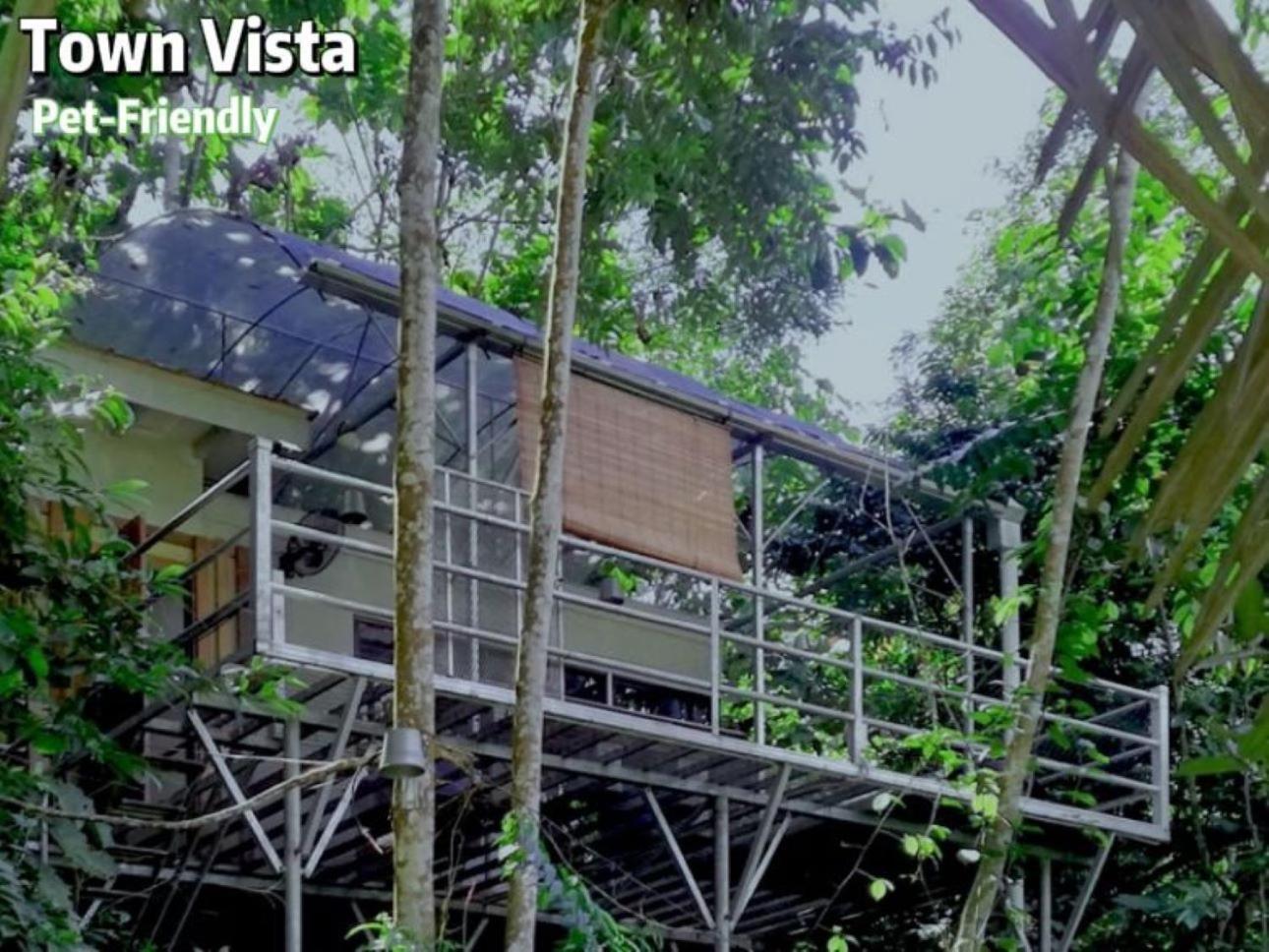 Gibbon Retreat Bentong酒店 外观 照片