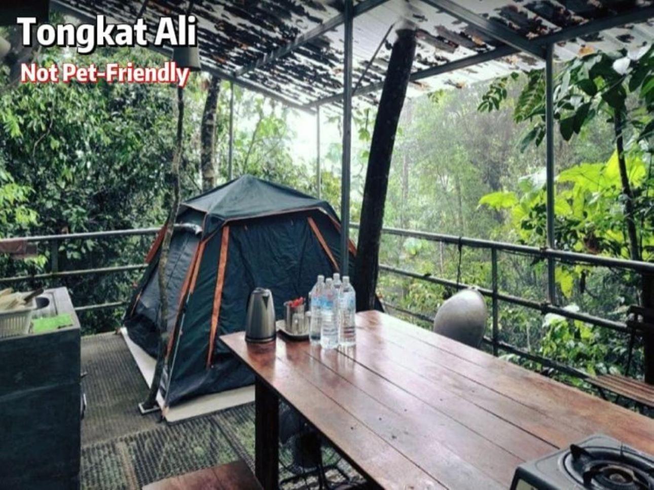 Gibbon Retreat Bentong酒店 外观 照片