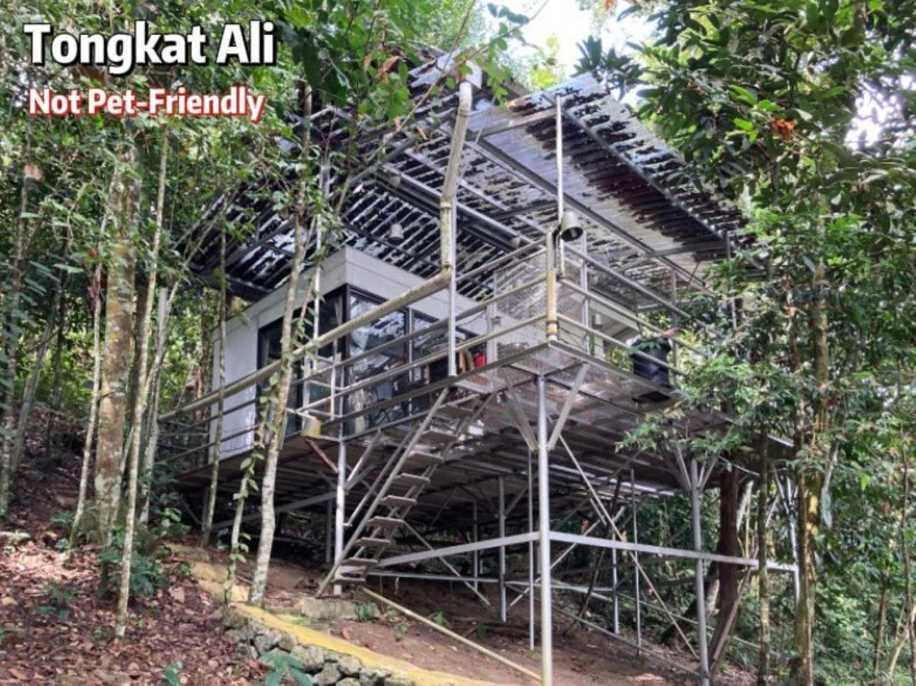 Gibbon Retreat Bentong酒店 外观 照片