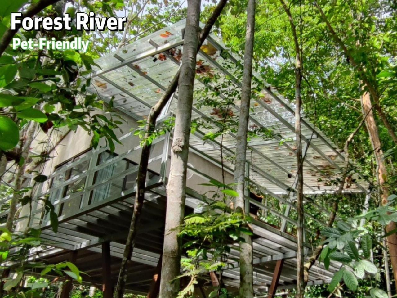 Gibbon Retreat Bentong酒店 外观 照片
